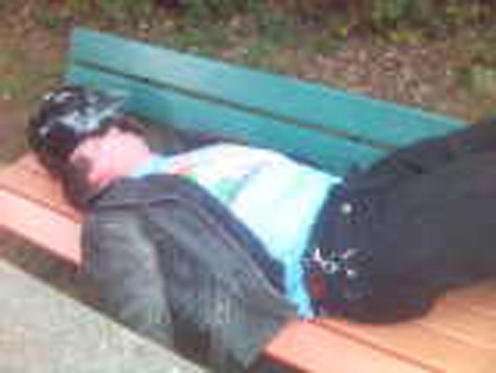 Bild(33)